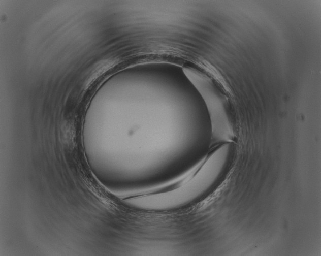 X0000089660826200707121156