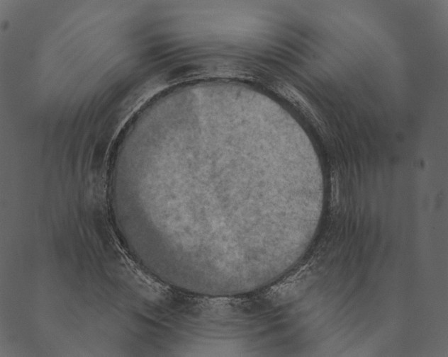 X0000089660828200707121156