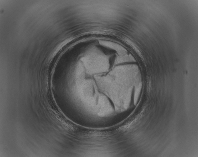 X0000089660829200707121156