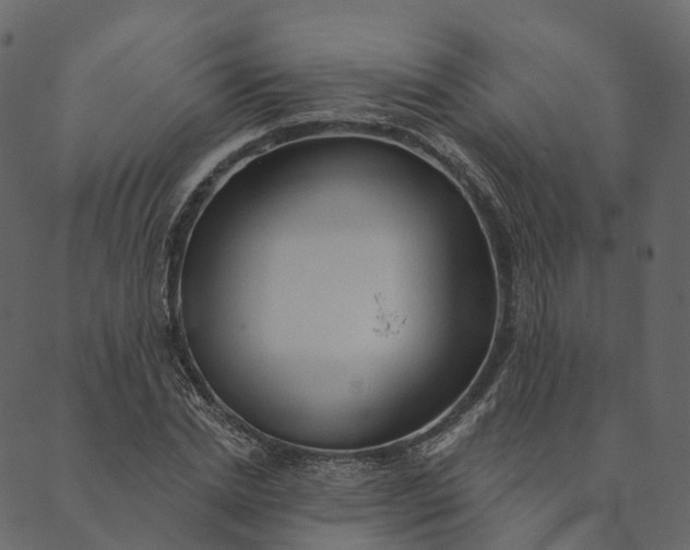 X0000089660830200707121156