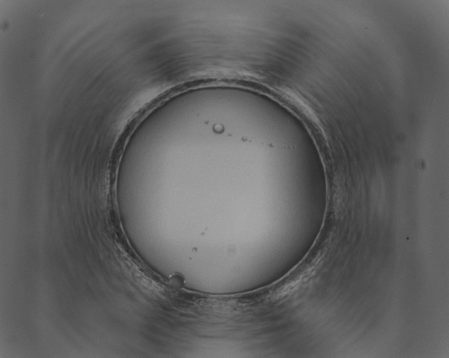 X0000089660831200707121157