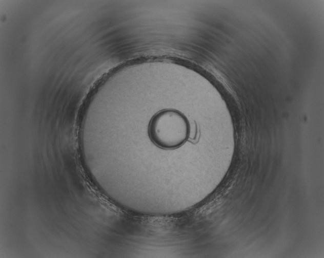 X0000089660832200707121157