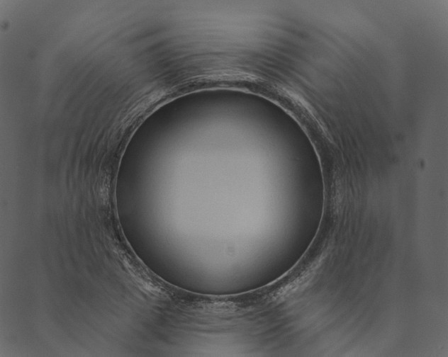 X0000089660833200707121157