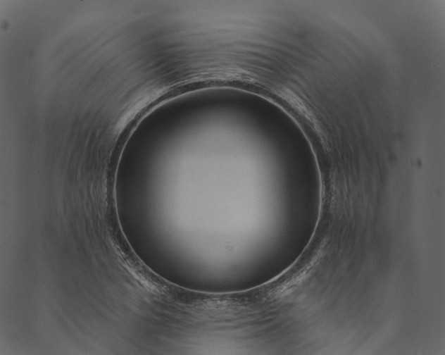 X0000089660834200707121157