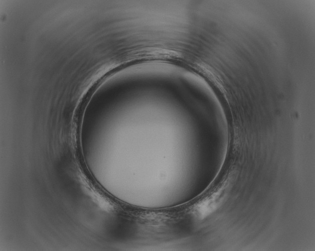 X0000089660835200707121157