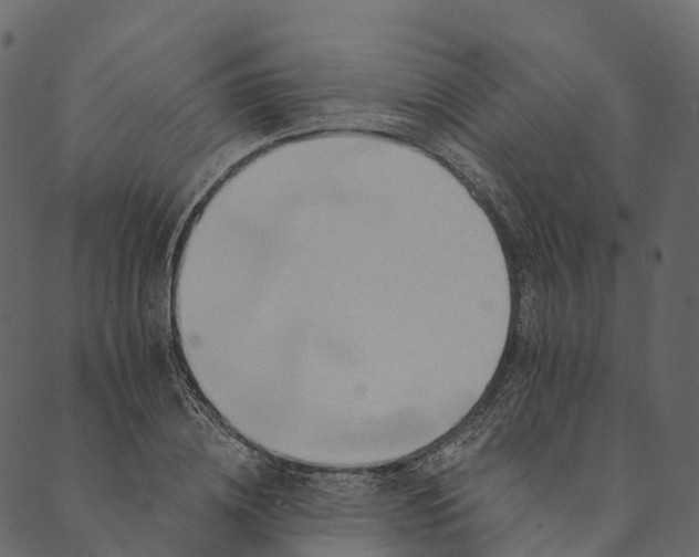 X0000089660836200707121157