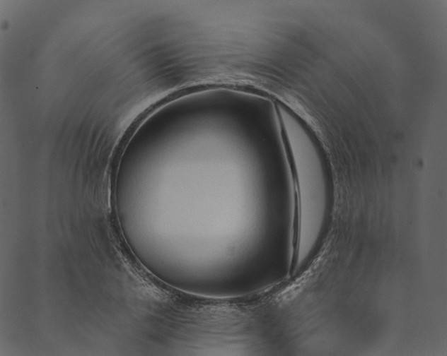 X0000089660838200707121157