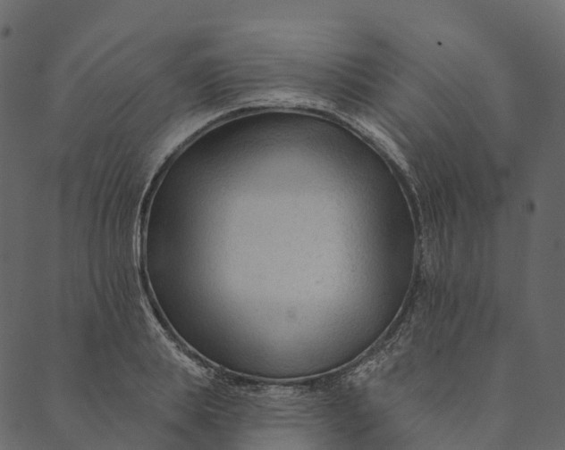 X0000089660839200707121157