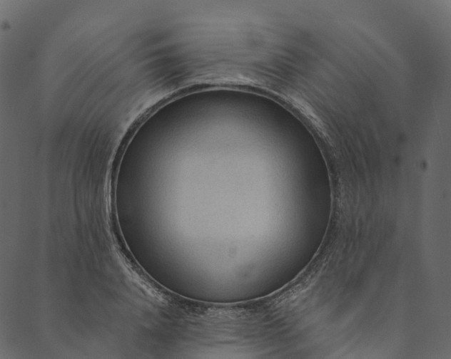 X0000089660840200707121157