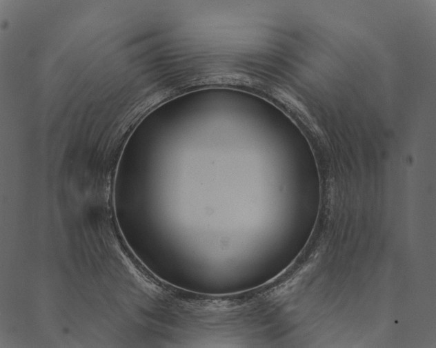 X0000089660841200707121157