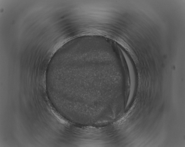 X0000089660842200707121157