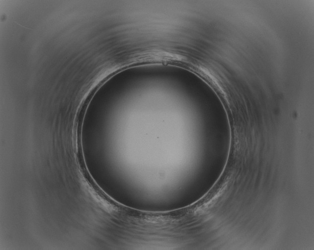 X0000089660843200707121157