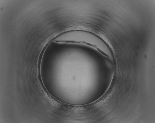 X0000089660845200707121157