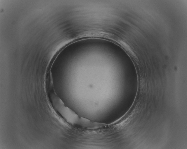 X0000089660846200707121157