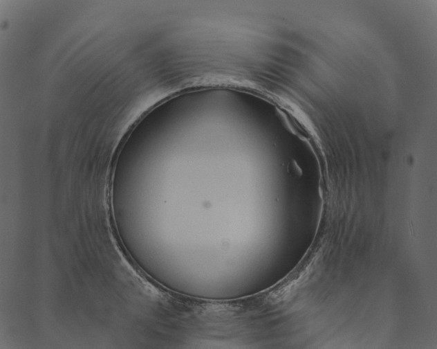 X0000089660847200707121157