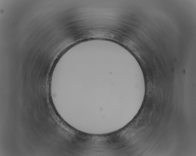 X0000089660848200707121157