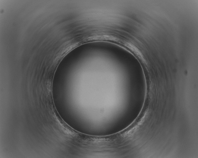 X0000089660849200707121157