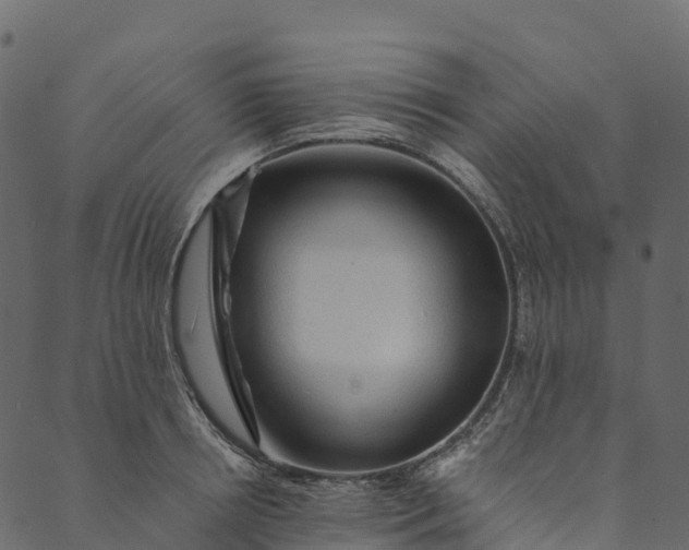 X0000089660850200707121157