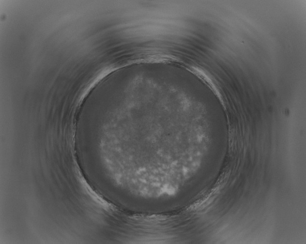 X0000089660851200707121157