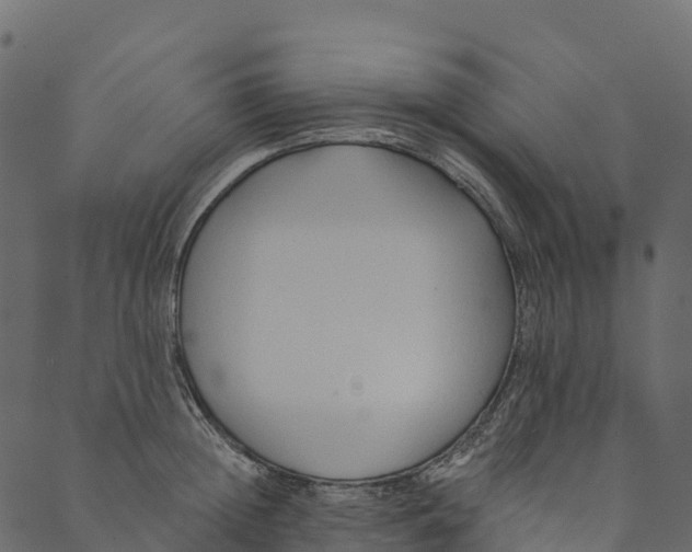 X0000089660852200707121157