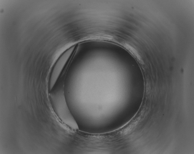 X0000089660854200707121157