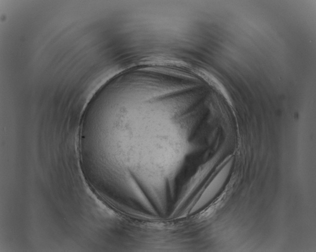 X0000089660855200707121157