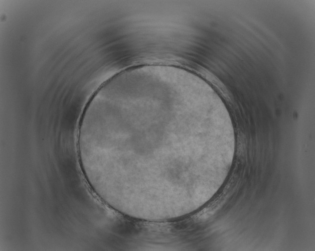 X0000089660856200707121157