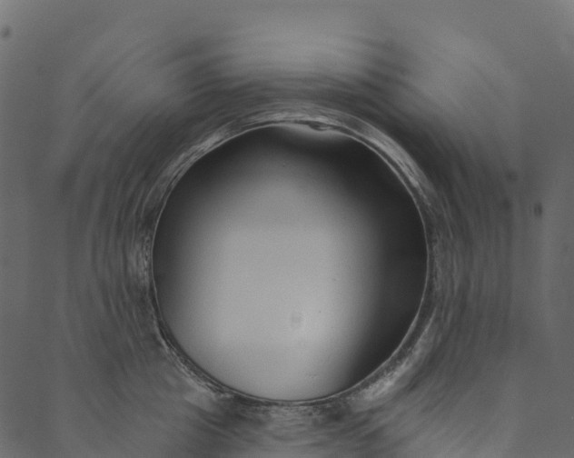 X0000089660857200707121157