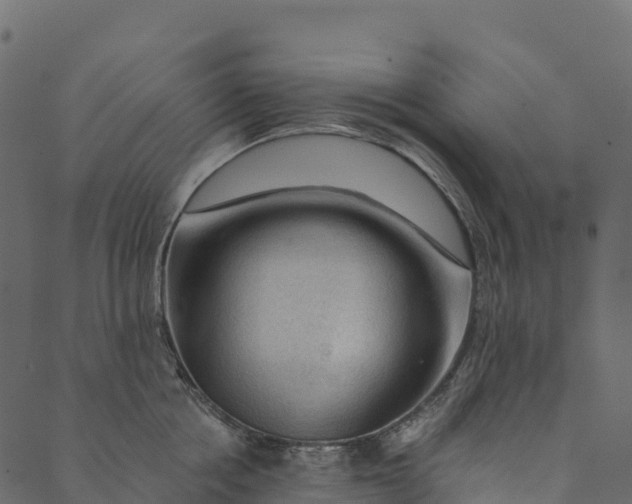 X0000089660858200707121157