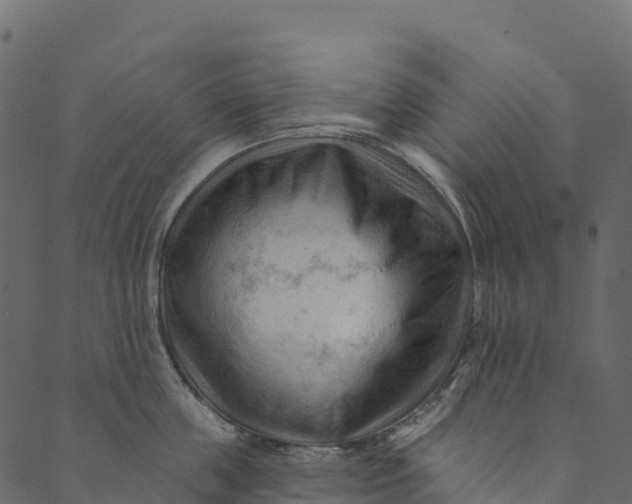 X0000089660859200707121157