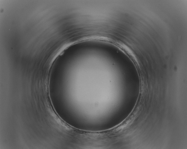 X0000089660860200707121157