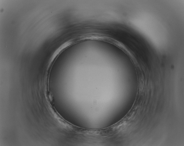 X0000089660861200707121157