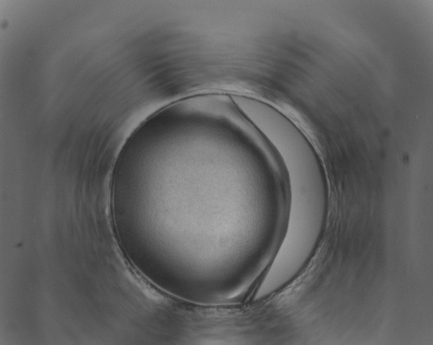 X0000089660862200707121157