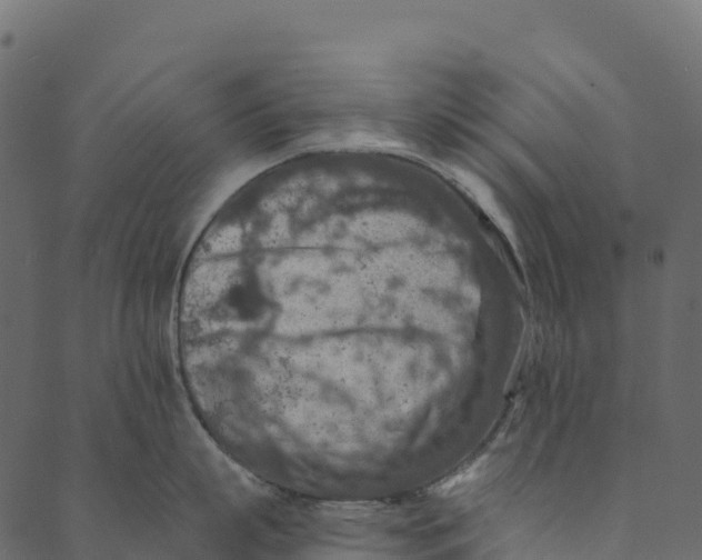 X0000089660863200707121157