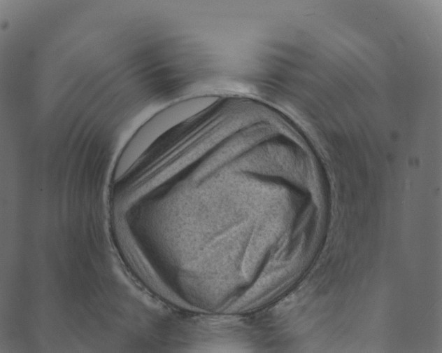 X0000089660864200707121157