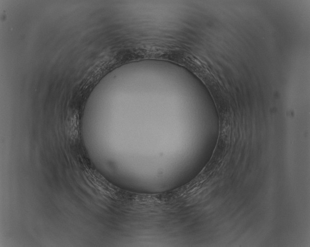 X0000089660866200707121156