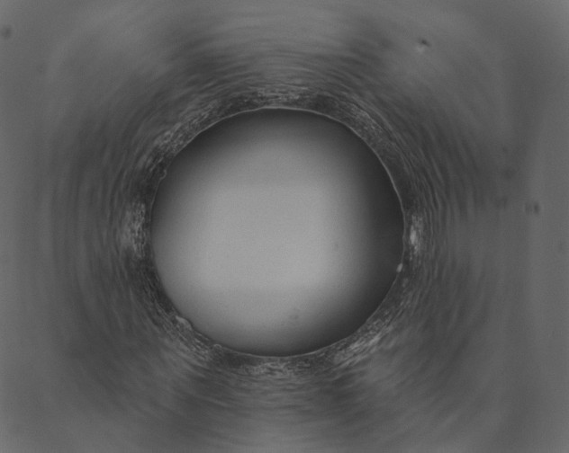 X0000089660867200707121156