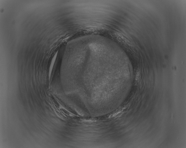 X0000089660868200707121156