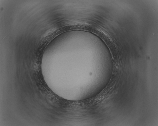 X0000089660869200707121156