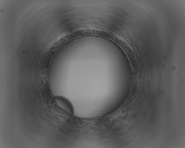 X0000089660870200707121156