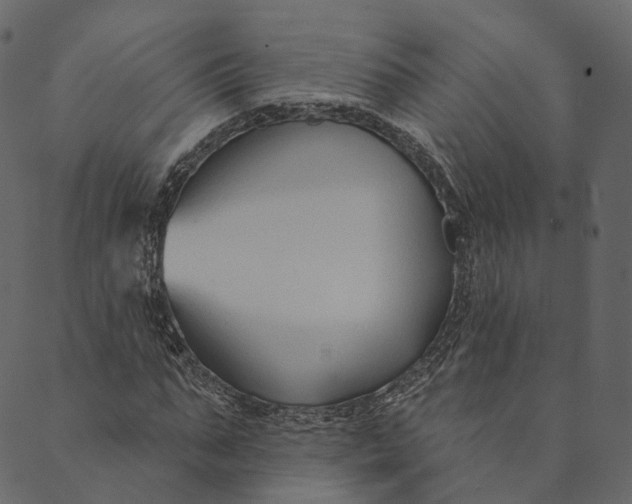 X0000089660871200707121156