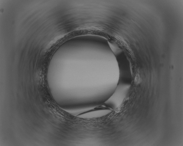 X0000089660872200707121156