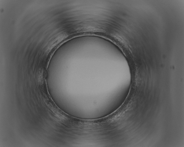 X0000089660873200707121156