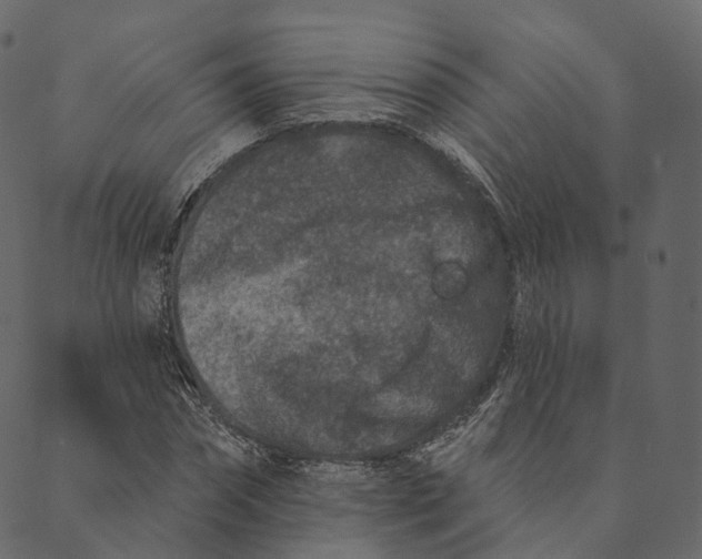 X0000089660874200707121156