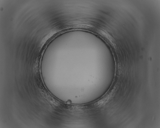 X0000089660875200707121156