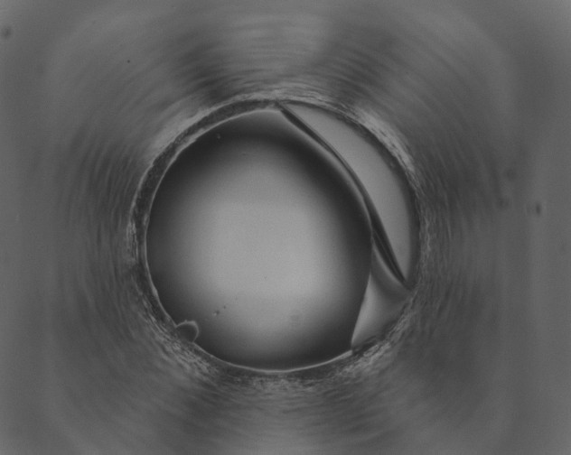 X0000089660876200707121156