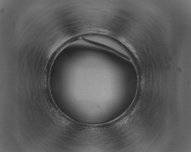 X0000089660877200707121156