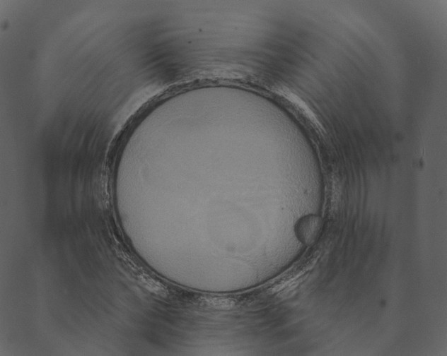 X0000089660878200707121156