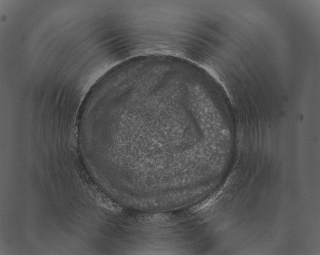 X0000089660879200707121156