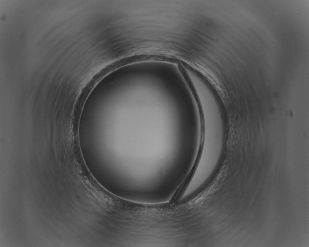 X0000089660880200707121156